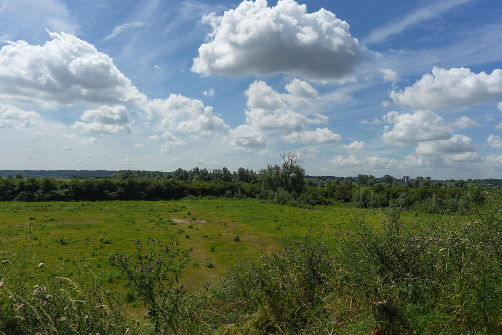 Vlietberg 6